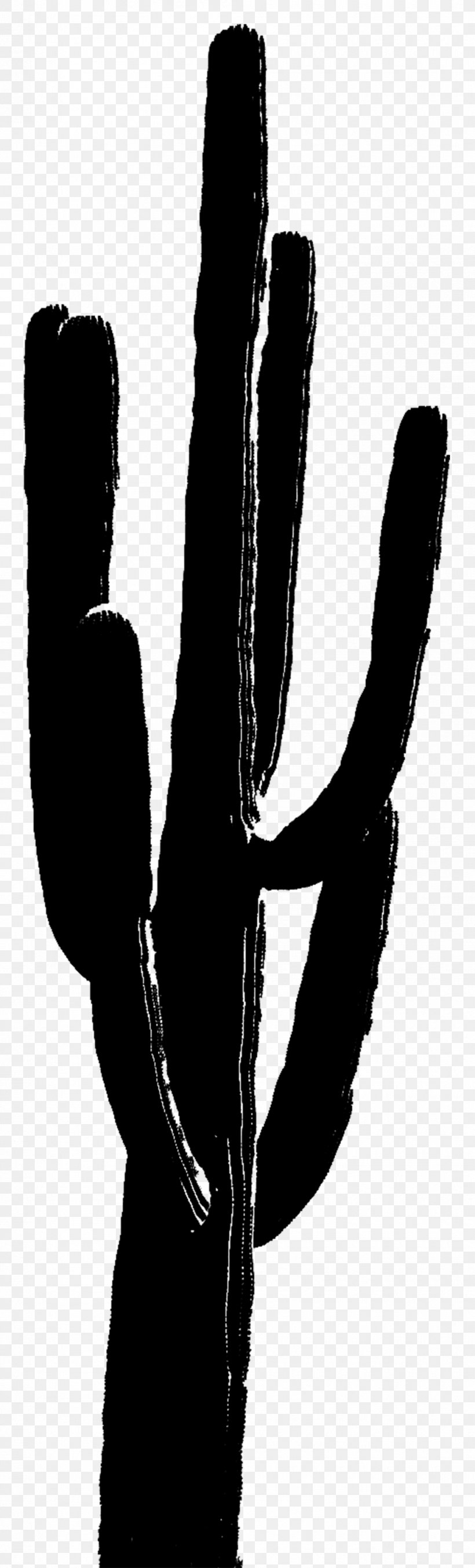 Finger Black & White, PNG, 990x3268px, Finger, Black White M, Blackandwhite, Cactus, Caryophyllales Download Free