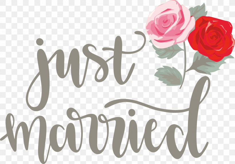 Just Married Wedding, PNG, 3000x2088px, Just Married, Cut Flowers, Floral Design, Flower, Garden Download Free