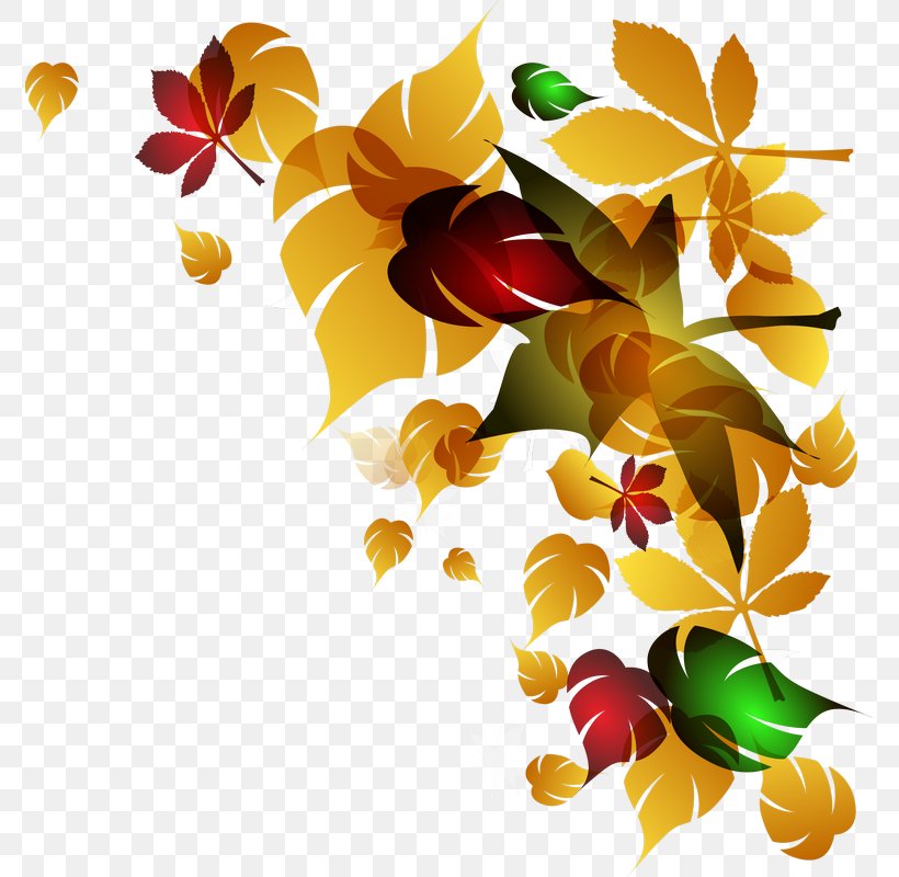 Leaf, PNG, 773x800px, Maple Leaf, Branch, Cdr, Flora, Floral Design Download Free