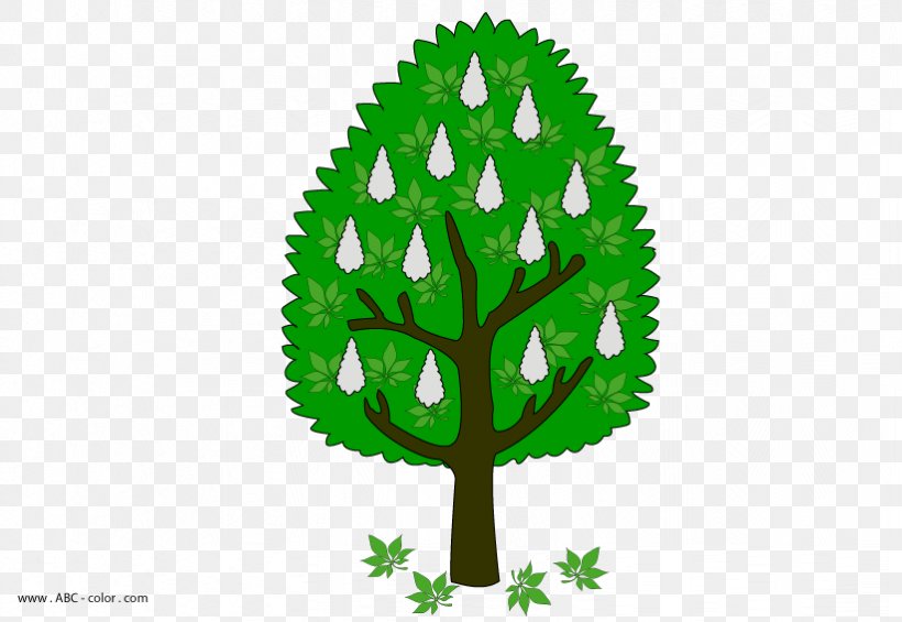 Tree Leaf Plant Stem Font, PNG, 822x567px, Tree, Grass, Green, Leaf, Organism Download Free