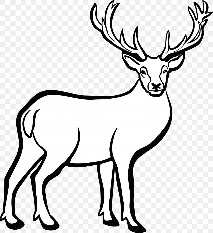 Whitetailed Deer Line Art Clip Art, PNG, 4000x4368px