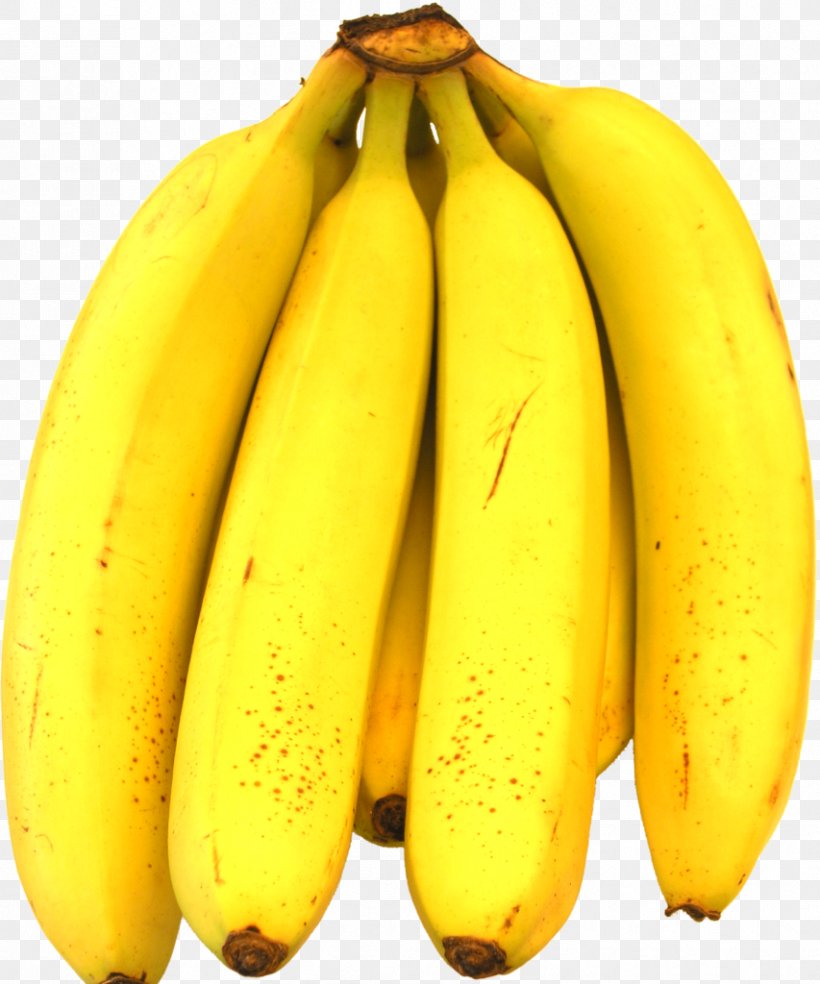 Banana Fruit Food Chiquita Brands International, PNG, 853x1024px, Banana, Banana Equivalent Dose, Banana Family, Chiquita Brands International, Commodity Download Free