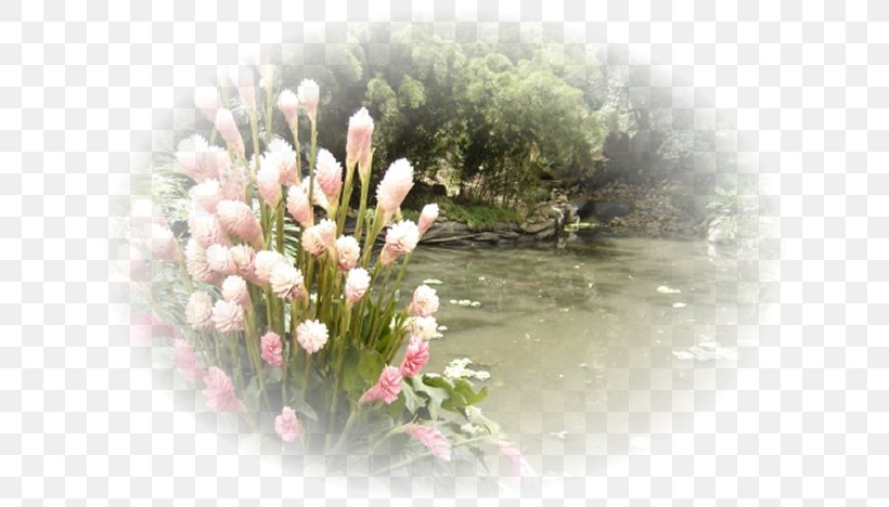 Flora Flower Petal Spring Framework, PNG, 650x468px, Flora, Blossom, Flower, Grass, Petal Download Free
