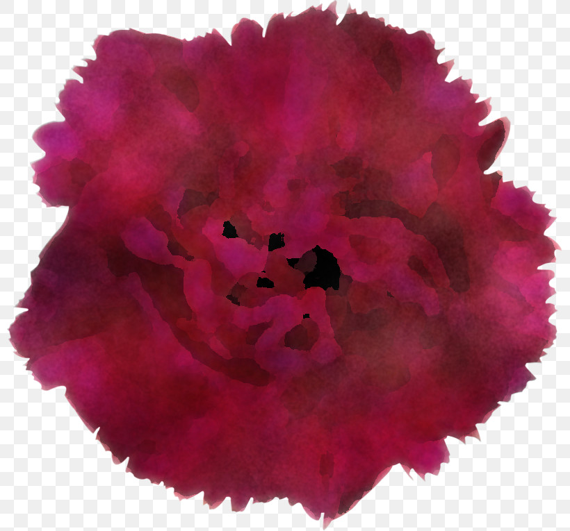 Flower Bouquet, PNG, 800x765px, Cut Flowers, Carnation, Drawing, Flower, Flower Bouquet Download Free