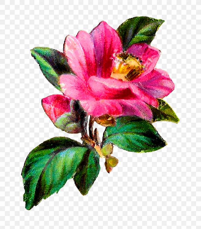 Craft Clip Art, PNG, 1405x1600px, Craft, Art, Camellia, Cut Flowers, Flower Download Free
