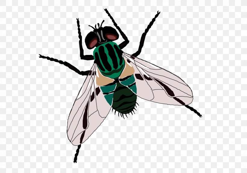Fly Sticker Toilet Clip Art, PNG, 1913x1346px, Fly, Arthropod, Bathroom, Cleaner, Decal Download Free