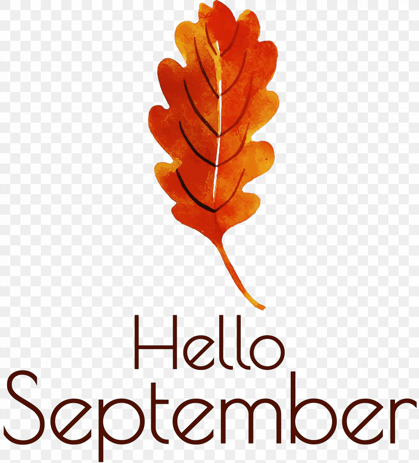 Hello September September, PNG, 2714x3000px, Hello September, Biology, Leaf, Meter, Plant Download Free