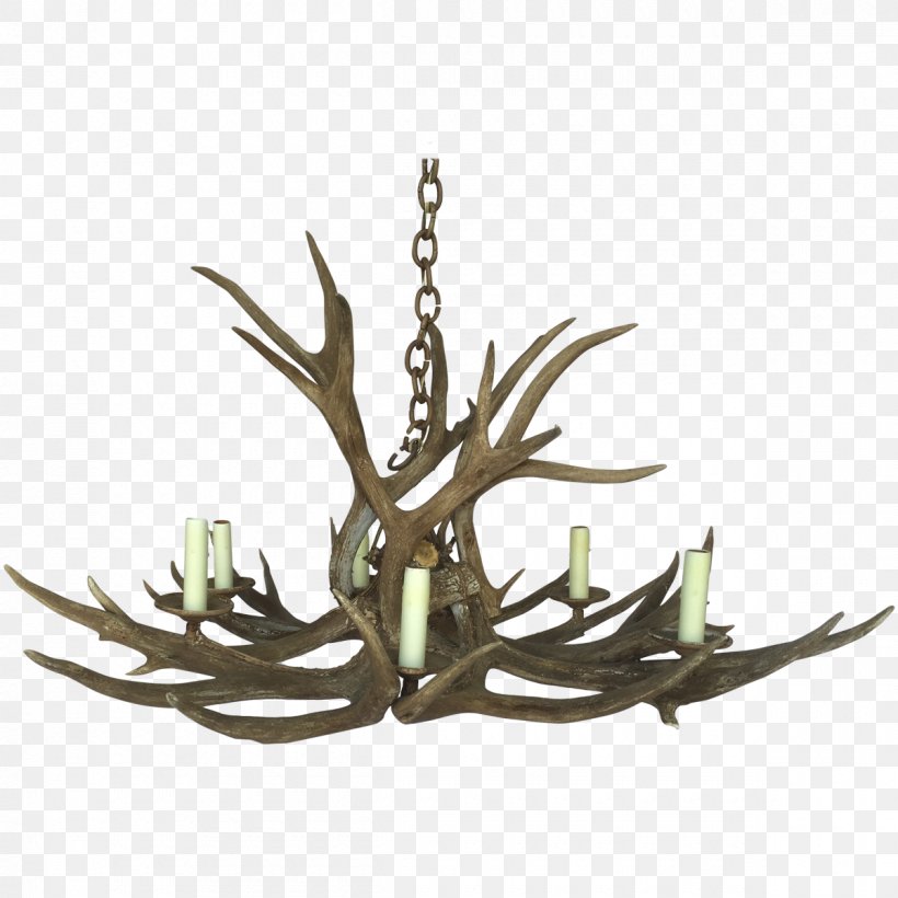 Light Fixture Lighting Antler Kitchen & Bar, PNG, 1200x1200px, Light, Antler, Antler Kitchen Bar, Light Fixture, Lighting Download Free