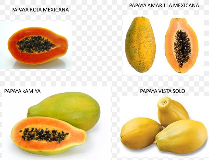 Papaya Food Topical Medication Skin Pawpaw, PNG, 1362x1045px, Papaya, Diet Food, Food, Fruit, Ingredient Download Free