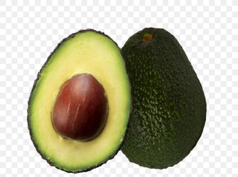 Avocado Fruit Food, PNG, 704x611px, Avocado, Catty, Diet Food, Food, Fruit Download Free