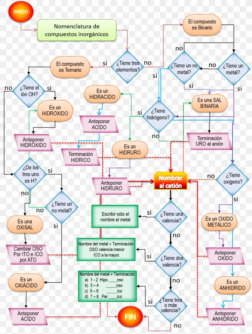 Diagram Line, PNG, 1133x1497px, Diagram, Area, Organism, Text Download Free