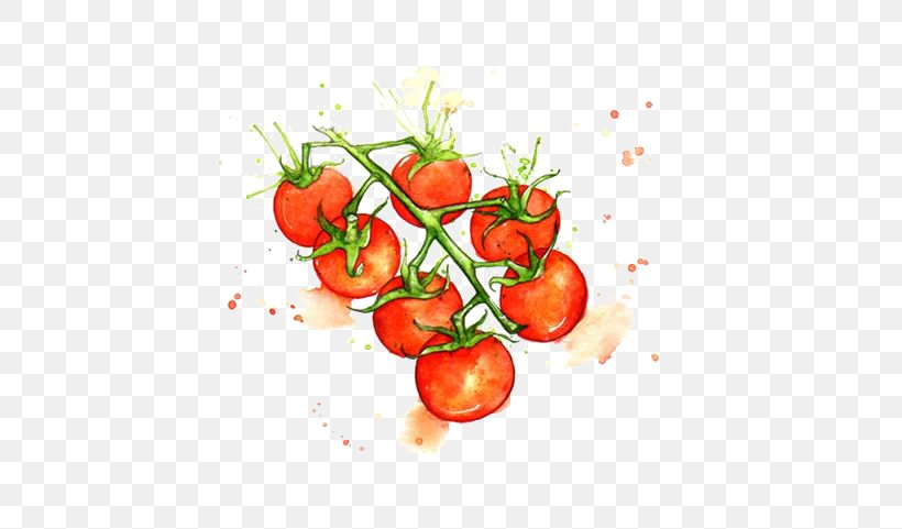 Juice Cherry Tomato Watercolor Painting Vegetable Illustration, PNG, 564x481px, Juice, Apple, Art, Botanical Illustration, Cherry Tomato Download Free