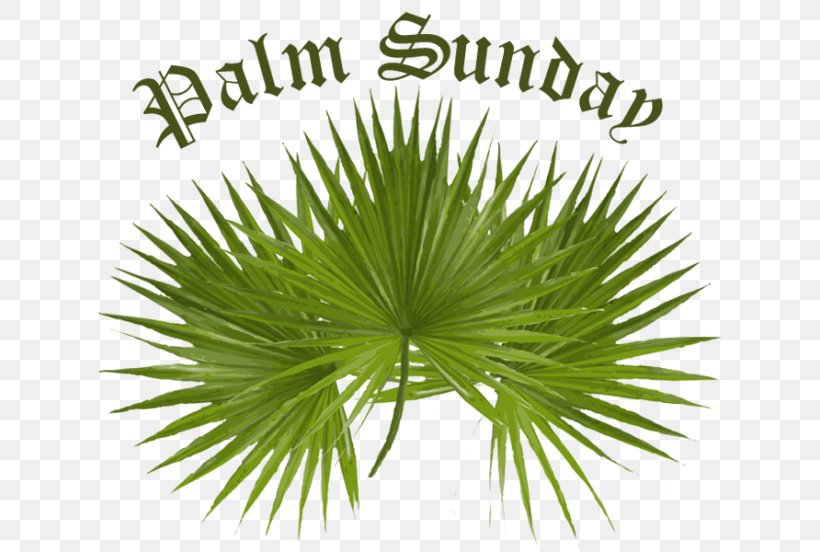 Palm Sunday Arecaceae Facebook Easter Clip Art, PNG, 640x552px, Palm Sunday, Arecaceae, Arecales, Art, Borassus Flabellifer Download Free