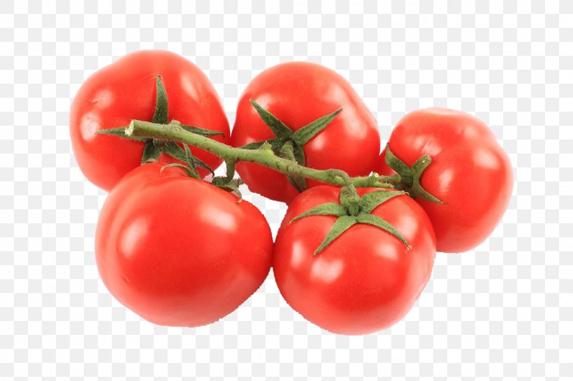 Plum Tomato Bush Tomato, PNG, 1024x683px, Plum Tomato, Acerola, Acerola Family, Auglis, Barbados Cherry Download Free