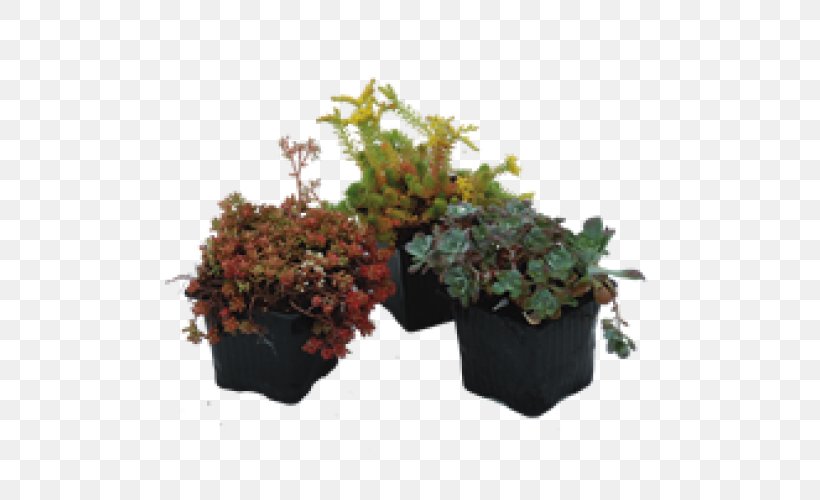 Artificial Flower Flowerpot Houseplant Shrub Herb, PNG, 500x500px, Artificial Flower, Flower, Flowerpot, Herb, Houseplant Download Free
