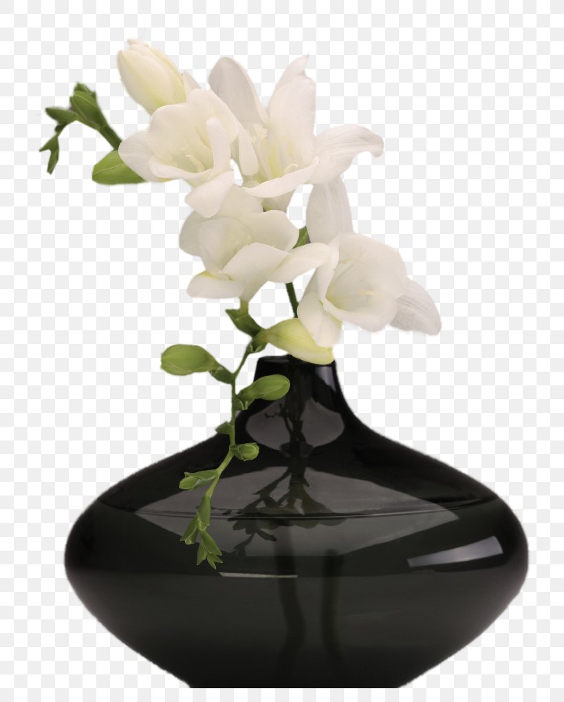 Black Vase With White Orchids Picture, PNG, 750x1020px, Vase, Artifact, Color, Decorative Arts, Flora Download Free