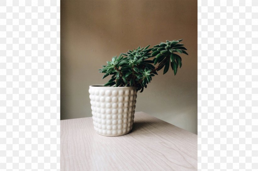 Houseplant Ceramic Flowerpot, PNG, 1024x682px, Houseplant, Ceramic, Flowerpot, Plant, Vase Download Free