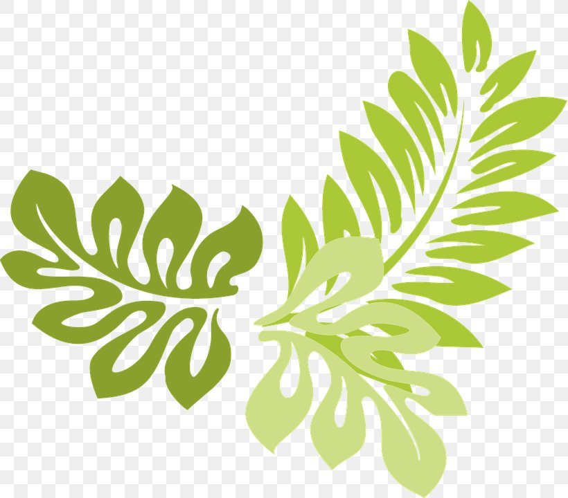 Leaf Fern Clip Art, PNG, 819x720px, Leaf, Art, Autumn Leaf Color, Branch, Fern Download Free