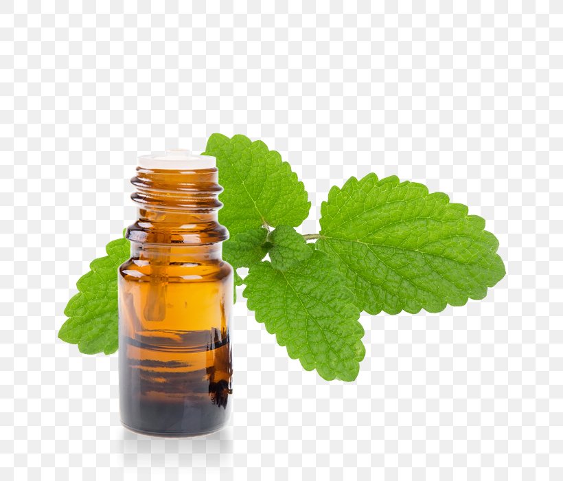 Lemon Balm Herbalism Essential Oil Officinalis, PNG, 700x700px, Lemon Balm, Blues, Bottle, Essential Oil, Extract Download Free