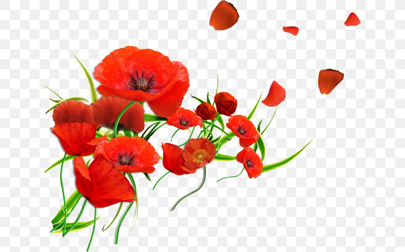 California Poppy Common Poppy Remembrance Poppy Blood Swept Lands And Seas Of Red, PNG, 640x511px, Poppy, Annual Plant, Armistice Day, Blood Swept Lands And Seas Of Red, California Poppy Download Free