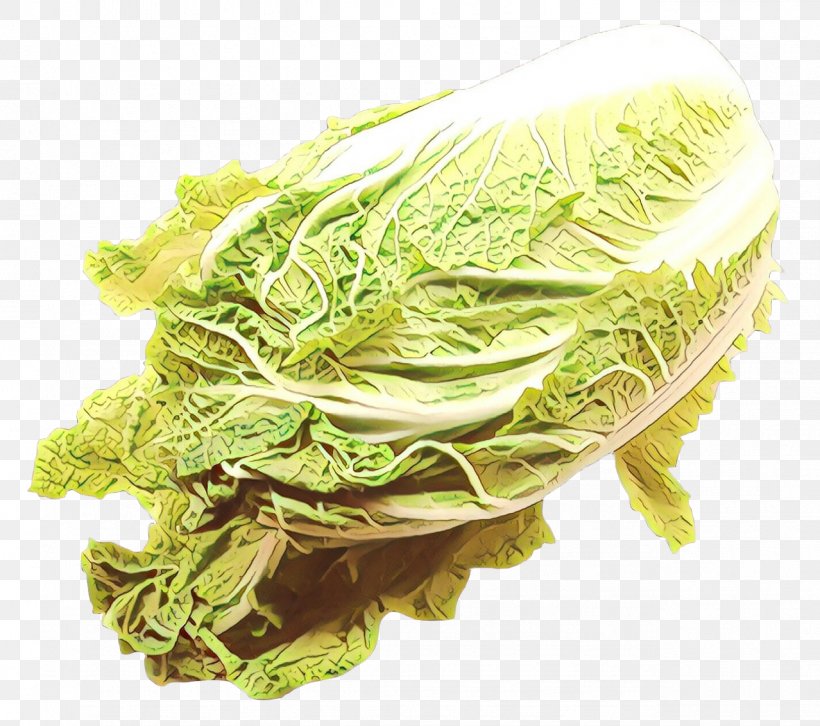 Chinese Food, PNG, 1278x1132px, Romaine Lettuce, Cabbage, Chinese Cabbage, Food, Herb Download Free