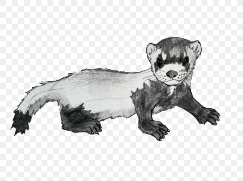 Ferret Mink Badger Animal Procyonidae, PNG, 1024x765px, Ferret, Animal, Animal Figure, Artwork, Badger Download Free