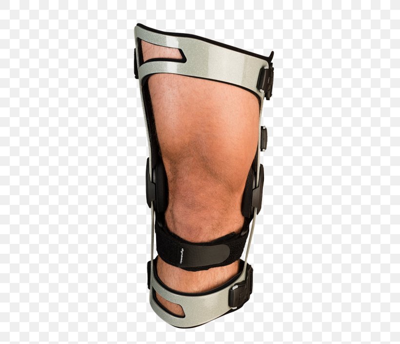 Knee Ligament Breg, Inc. Anatomy Shoulder, PNG, 705x705px, Knee, Anatomy, Breg Inc, Joint, Ligament Download Free