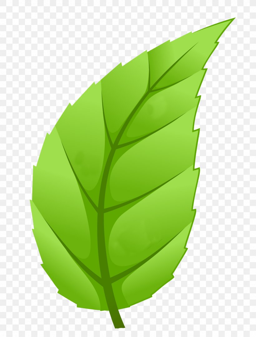 Light Sustainability Sustainable Development Leaf Natural Environment, PNG, 1416x1866px, Light, Business, Economy, Environment, Grass Download Free