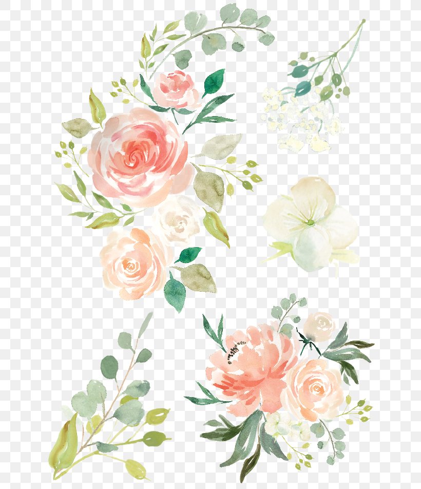 Watercolor Painting Flower Rose Clip Art, PNG, 640x952px, Watercolor Painting, Botany, Cut Flowers, Drawing, Floral Design Download Free