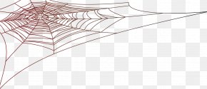 Cartoon Spider Web Pictures - Biomolecule Protein Biology Article PNG