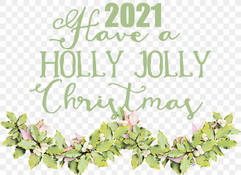 Floral Design, PNG, 3000x2182px, Holly Jolly Christmas, Biology, Branching, Chain, Floral Design Download Free