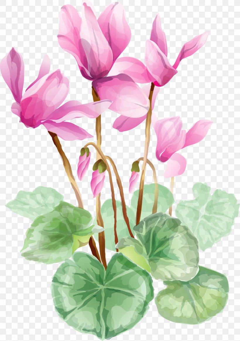 Flower Clip Art, PNG, 2046x2900px, Flower, Cut Flowers, Cyclamen, Floral Design, Flower Bouquet Download Free