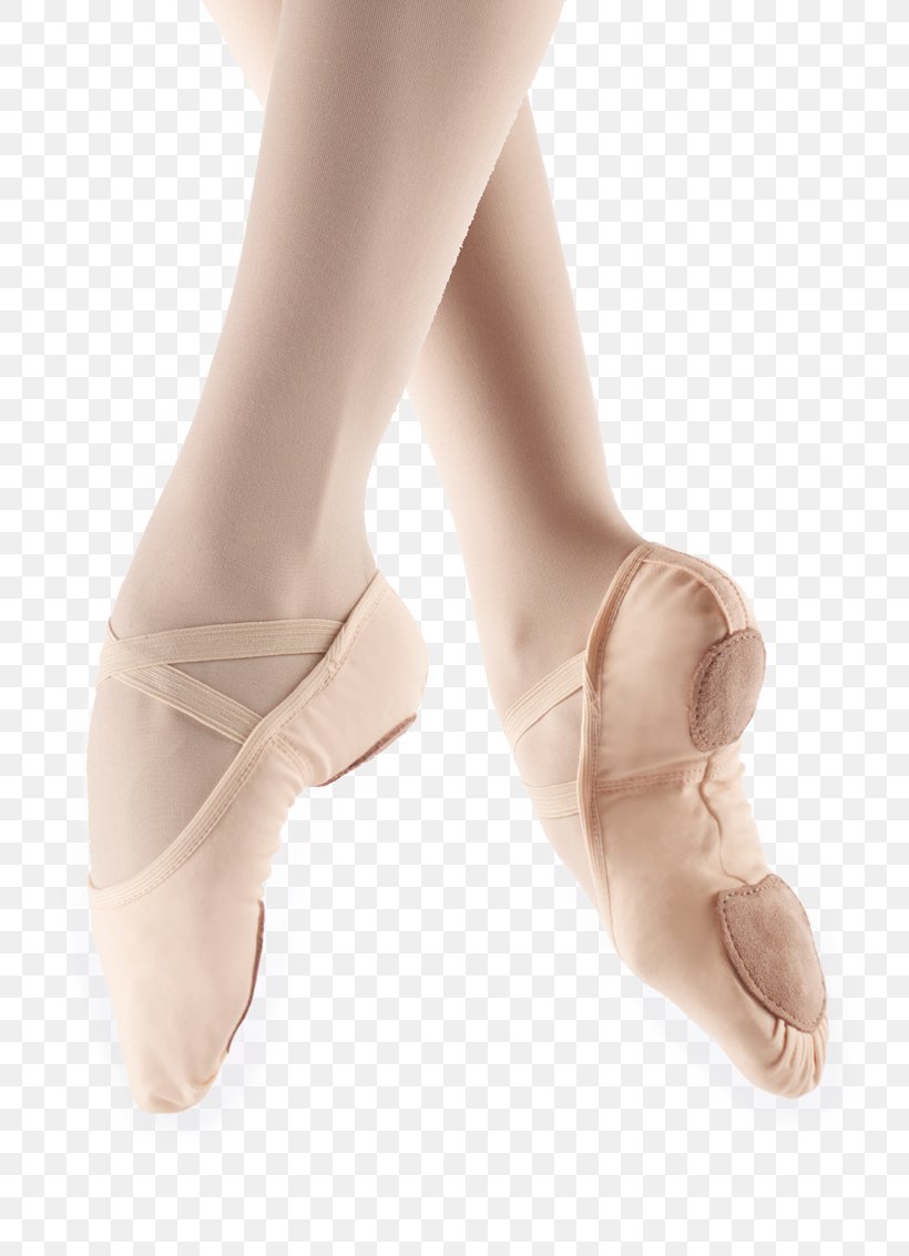 Slipper Ballet Shoe Dance Ballet Flat, PNG, 800x1133px, Watercolor, Cartoon, Flower, Frame, Heart Download Free