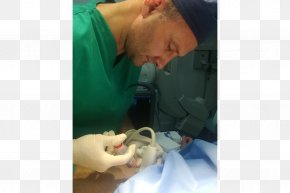 Adipose Tissue - Stem Cell Surgery Stem-cell Therapy PNG