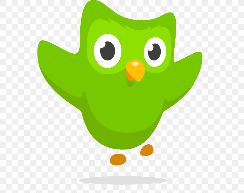 Duolingo Owl Foreign Language Learning, PNG, 4656x3697px, Duolingo, Beak, Bird, Bird Of Prey, Cartoon Download Free