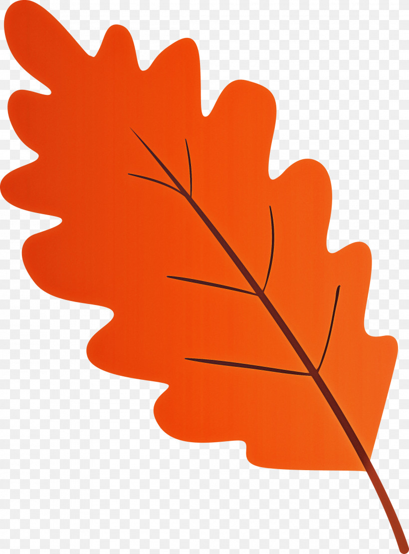 Maple Leaf, PNG, 2216x3000px, Watercolor Leaf, Black Maple, Flower, Leaf, Maple Leaf Download Free