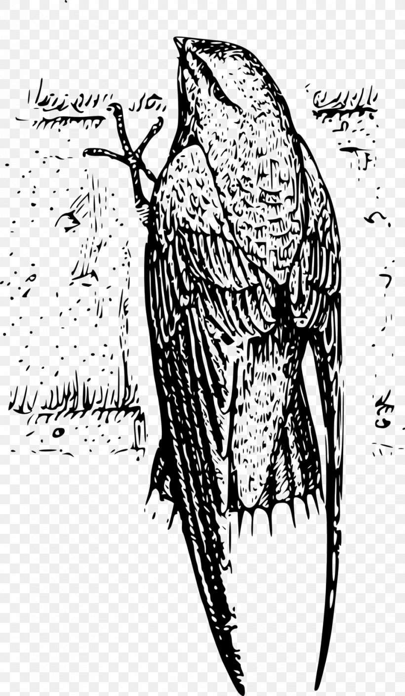 Bird Chimney Swift Clip Art, PNG, 958x1646px, Bird, Art, Artwork, Beak, Bird Nest Download Free