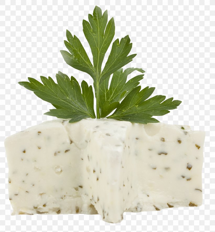 Cream Vanilla Herb Butter, PNG, 3105x3352px, Cream, Bread, Butter, Cake, Cheese Download Free