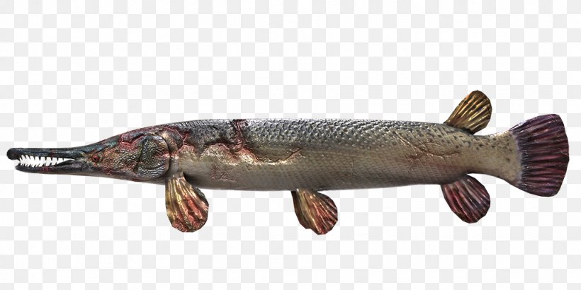 Gar Northern Pike Fishing Planet, PNG, 1024x512px, Gar, American Pickerel, Angling, Animal Figure, Animal Source Foods Download Free