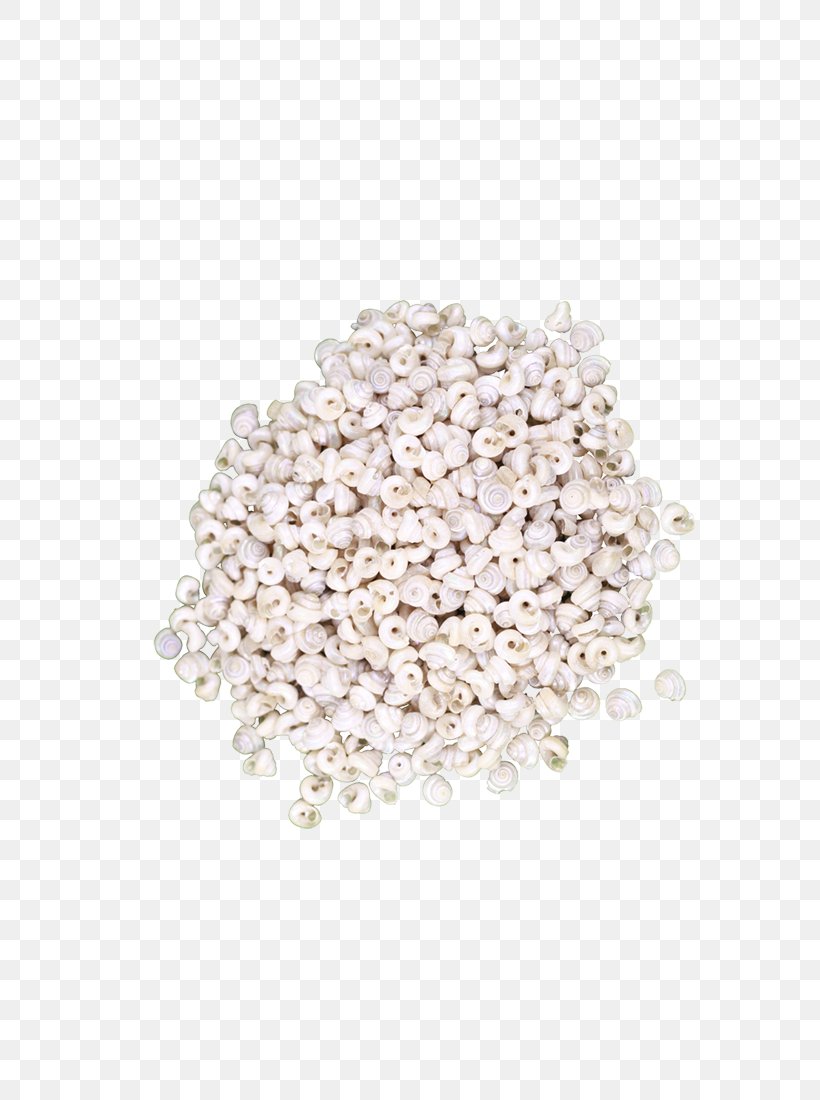 Jewellery Trochus-Tiny Pearled Craft Shells Seashells 1 Kilo Jewelry Design Kilogram, PNG, 733x1100px, Jewellery, Commodity, Jewelry Design, Jewelry Making, Kilogram Download Free