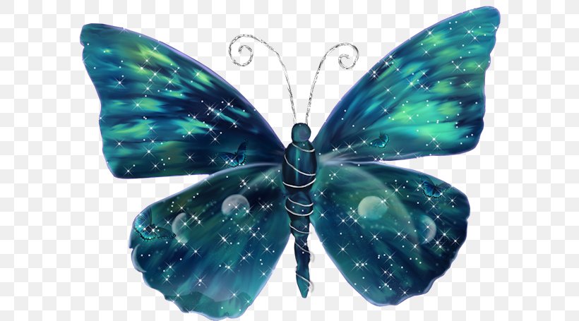 Butterfly Butterflies In Colour Butterflies & Insects, PNG, 600x455px, Butterfly, Arthropod, Blue, Butterflies And Moths, Butterflies In Colour Download Free