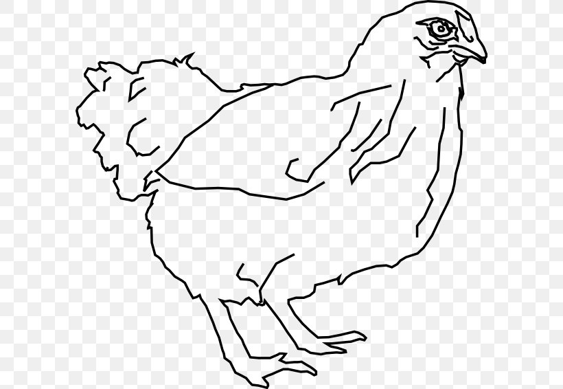 Chicken Drawing Line Art Hen Clip Art, PNG, 600x566px, Watercolor, Cartoon, Flower, Frame, Heart Download Free