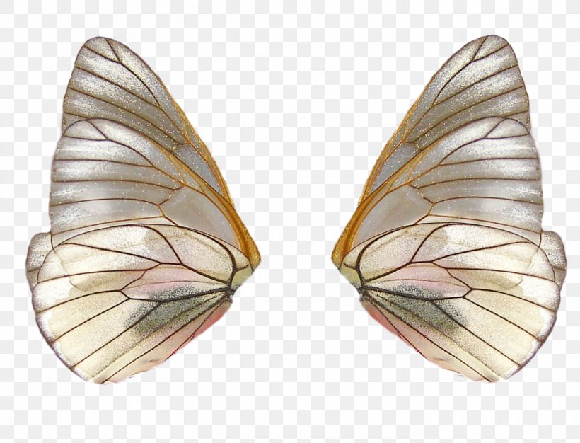 Fairy, PNG, 1469x1123px, Fairy, Adobe Flash, Butterfly, Computer Software, Earrings Download Free