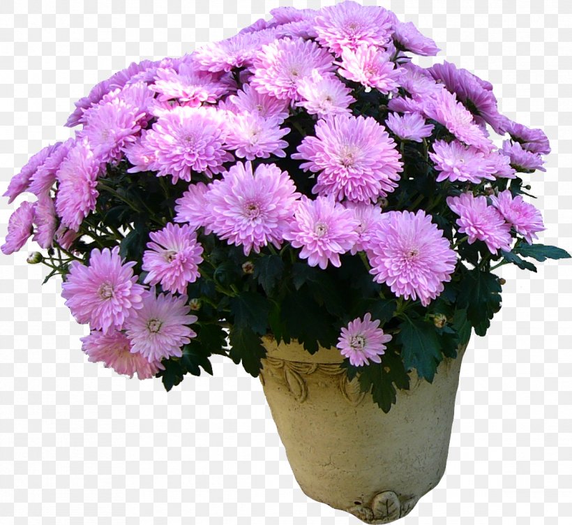 Flower Bouquet Holiday Daytime Woman, PNG, 1165x1069px, Flower, Annual Plant, Aster, Chrysanths, Cut Flowers Download Free