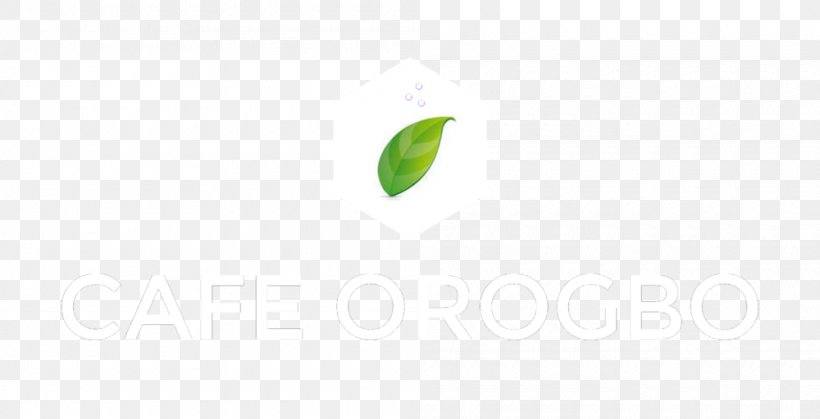 Logo Brand Product Design Green Font, PNG, 1000x512px, Logo, Brand, Computer, Green, Leaf Download Free