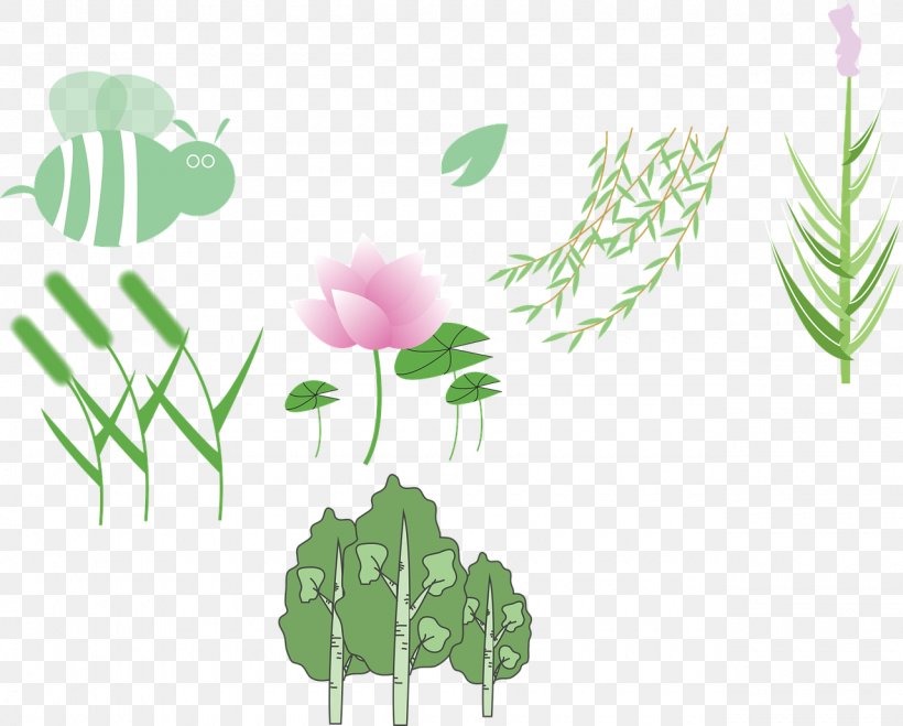 Sweet Pea Flower, PNG, 1280x1030px, Drawing, Flower, Grass, Herbaceous Plant, Leaf Download Free