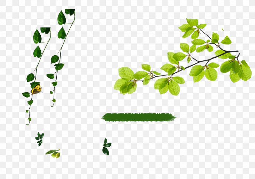 Advertising Poster Leaf Gratis, PNG, 1440x1012px, Advertising, Area, Banner, Branch, Cosmetics Download Free