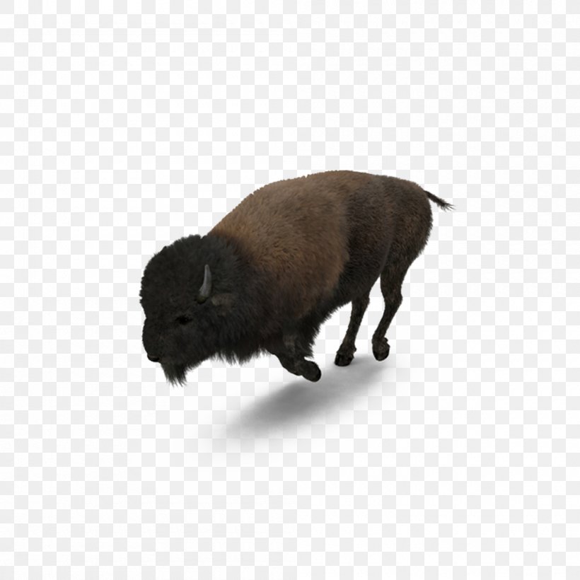 Buffalo American Bison, PNG, 1000x1000px, 3d Computer Graphics, Buffalo, American Bison, Athletics, Bison Download Free
