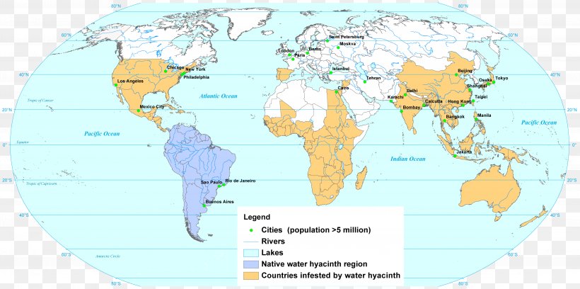 Common Water Hyacinth Amphibians World Map Invasive Species, PNG, 5111x2548px, Common Water Hyacinth, Amphibians, Area, Atlas, Batrachochytrium Dendrobatidis Download Free