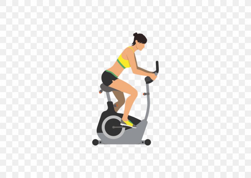 Euclidean Vector Physical Exercise Bicycle Motion, PNG, 841x595px, Physical Exercise, Area, Arm, Bicycle, Element Download Free